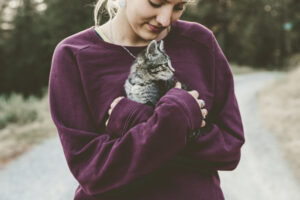 Katze-kaufen-6-Tipps-für-Katenanfänger-Holy-Kitty